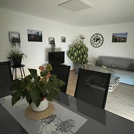 L'aiglon Ribeauvillé